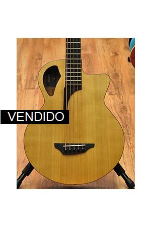 Stanford B-61 CM5 Stanford B-61 CM5